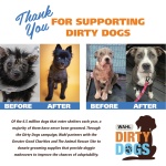 Wahl USA Deodorizing & Refreshing Pet Deodorant for Dogs - Eucalyptus & Spearmint Scent to Refresh the Skin and Coat - Model 820011A - Image 2