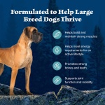 Blue Buffalo Wilderness Natural High-Protein Dry Food for Adult Dogs, with Wholesome Grains, Salmon, 28-lb Bag. - Image 9