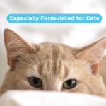 Pawtitas Natural Cat Shampoo - Fragrance Free, Organic Oatmeal Grooming Supplies for Cats and Kittens - 16 Fl Oz - Image 5