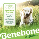 Benebone Small 4-Pack Dog Chew Toys for Aggressive Chewers, Made in USA, 30lbs and Under - Image 2