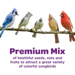 Kaytee Nut & Fruit Wild Bird Seed, 5 lb - Image 11