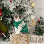 Stretchy Cat Christmas Sweater - 2 Packs Christmas Sweaters for Cats | Snug Winter-Ready Knit for Boy/Girl Cats & Kittens(Scarlet, Small) - Image 7