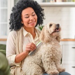 Dog & Cat Comb – Removes Tangles, Knots, and Matted Fur – Grooming Tool with Stainless Steel Teeth and Non-Slip Handle – Best Pet Hair Comb for Home Grooming Kit – Includes eBook Guide - Image 4