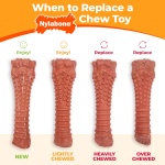 Nylabone Original Bone Power Chew Toy Value Pack for Dogs, Durable Dog Toys for Aggressive Chewers, Long Lasting Chicken, Bacon, and Peanut Butter Flavor, Small Dogs - Up to 25 Ibs, 3 Pack - Image 7