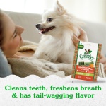 Greenies Regular Dental Dog Treats, Pumpkin Spice, Limited Edition, 12 oz. Pack (12 Treats) - Image 4