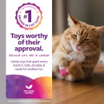 SmartyKat (2 Count Tea Teazers Catnip Cat Toys - Pink/Orange, 2 Count - Image 7