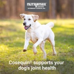 Nutramax Cosequin for Dogs Joint Health Supplement, Contains Glucosamine for Dogs, Plus Chondroitin and MSM, Supports Healthy Joints, For All Breeds and Sizes, Chewable Tablets, 132 Count - Image 8