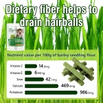 Hkpetie 30g Cat Grass Sticks, Delicious Cat Grass Teething Stick Edible Cats Chew Toy Cat Treats Snack for Teeth Cleaning and Hairball Removal - Image 4