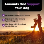 Nutri-Vet Pre & Probiotics for Dogs, Digestive Support, Upset Stomach, Puppy Probiotic, Pet Vitamins and Supplements, Dog Probiotics, Liver & Cheese Flavor, 120 Soft Chews - Image 4