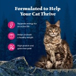 Blue Buffalo Wilderness Natural High-Protein Grain-Free Wet Food for Adult Cats, Salmon Paté, 3-oz. Cans, 24 Count - Image 9