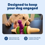 PetSafe Busy Buddy Jack - Keeps Dog Busy - Includes Treats Refill - Treat Holding Dog Toy - Helps Clean Teeth - Durable Rubber - Strong Chewers - Dishwasher Safe - Large - Purple - Image 6