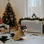 Queenmore Warm Puffer Dog Jacket, Quilting Winter Coat Ultra Thick Plush Lining with Storage Pockets (Dark Navy, X-Small) - Image 2