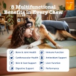 Zesty Paws Dog Multivitamin, Chewable Dog Vitamins and Supplements for Hip & Joints, Skin & Coat, Omega 3 Fish Oil for Dogs- Senior & Puppy Multivitamin- Chicken- 90ct - Image 7