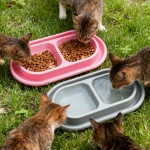 Ant Away Outdoor Cat Bowl, Double Pet Bowl with Water Moat, Spill-Proof Design, Food & Water Feeder for Outdoor Cats – Ants Away, Easy Clean, Lightweight Plastic(Small, 2 Packs) - Image 2