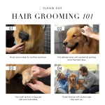 Tweezerman Pet Grooming Scissors, Stainless Steel Rounded Tip Trimming Shears for Dogs and Cats - Image 16