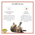 Dr. Elsey's Cleanprotein Salmon Formula Dry Cat Food, 6.6 Lb - Image 7