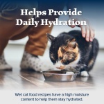 Blue Buffalo Wilderness Wild Delights Meaty Morsels Wet Cat Food, High-Protein & Grain-Free, Made with Natural Ingredients, Chicken & Turkey Recipe in Tasty Gravy, 3-oz. Cans (24 Count) - Image 6