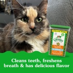 Greenies Feline Adult Dental Cat Treats, Oven Roasted Chicken Flavor, 9.75 oz. Tub - Image 13