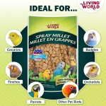 Living World - Millet Spray for Birds, 3.5 Oz – Premium Treat for Budgies, Canaries, Finches, Cockatiels and Other Pet Birds - Image 5