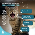Cat Dental Care Supplement for Bad Breath, Tartar & Gum Support - Natural Cat Teeth Cleaning Oral Tablets Provide Eating & Gum Comfort, Teeth Wellness and Plaque Control, Tiny Dissolvable 400 Pills - Image 5