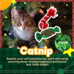 ALL FOR PAWS Christmas Cat Toys Happy Holiday Kitten Toys with Catnip, Crinkle Sound 2 Set Candy Cane Designs Kitty Toy - Image 5