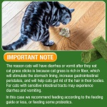 Hkpetie 30g Cat Grass Sticks, Delicious Cat Grass Teething Stick Edible Cats Chew Toy Cat Treats Snack for Teeth Cleaning and Hairball Removal - Image 3