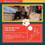 REXIPETS 100% Natural - Elk Antlers for Dogs - Naturally Shed in USA - Long Lasting Chews for Aggressive Chewers - Natural, Real Dog Antler Treats & Toys - Dog Chews - No Odor & No Mess - Large - Image 3