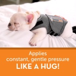 ThunderShirt for Dogs, Medium, Heather Gray Classic - Dog Anxiety Relief Calming Vest - Image 3