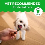 Greenies Gingerbread Flavor Teenie Size, Veterinarian-Recommended for Dental Care, Dog Treat Chews, Great Holiday Dog Stocking Stuffers, Limited Edition, 6 oz. Pouch (22 Treats) - Image 8