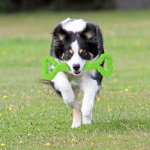 Durable Dog Chew Toys 13 Inch Bone Shape Extra Large Dog Toys with Convex Design Strong Tug Toy for Aggressive Chewers Medium and Large Dogs Tooth Cleaning - Image 3