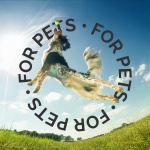 Bark2Basics Salon Scents Pet Grooming Cologne - 8 oz, Natural Professional Groomer Grade Perfume Deodorant for Dogs and Cats, Long Lasting, Deodorizing (Blueberry Pie) - Image 2