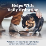 Blue Buffalo Wilderness Natural High-Protein Grain-Free Wet Food for Adult Cats, Salmon Paté, 3-oz. Cans, 24 Count - Image 6