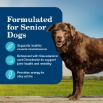 Blue Buffalo Homestyle Recipe Senior Wet Dog Food, Made with Natural Ingredients, Chicken Dinner with Garden Vegetables, 12.5-oz Cans (12 Count) - Image 9