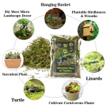 Sukh Sphagnum Moss for Reptiles - Terrarium Reptiles Moss Green Dried Peat Moss Habitat Bedding Moss for Snakes Turtle Frog Gecko and Other Reptiles Substrate (5, Ounces) - Image 4