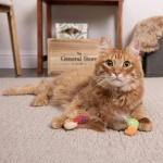 Instincts by SmartyKat 2-Pack HappyNip Love Mates Feather Birds Plush Cat Toys, Contains Catnip & Silvervine - Orange/Green, 2-Pack - Image 6