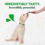 Greenies Regular Dental Dog Treats, Pumpkin Spice, Limited Edition, 12 oz. Pack (12 Treats) - Image 3