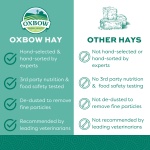 Oxbow Orchard Grass Hay for Small Pets – All-Natural Long Strand Fiber Hay for Rabbits, Guinea Pigs, Chinchillas, and Hamsters – Supports Digestive Health and Enrichment – 40 oz Bag - Image 16
