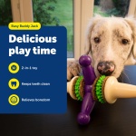 PetSafe Busy Buddy Jack - Keeps Dog Busy - Includes Treats Refill - Treat Holding Dog Toy - Helps Clean Teeth - Durable Rubber - Strong Chewers - Dishwasher Safe - Large - Purple - Image 7