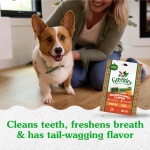 Greenies Petite Dental Dog Treats, Pumpkin Spice Flavor, Limited Edition, 12 oz. Pack (20 Treats) - Image 4