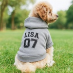 Personalized Name Dog Hoodie, Embroidered Puppy Sweater with Name/Text, Custom Pet Clothes Warm Winter Outfit for Dogs, Bright Puppy Sweatshirt, Pet Birthday Outfit, Gift for Dog Lovers - Image 3