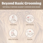 SKOUT'S HONOR Probiotic Pet Deodorizer Spray- Hydrating Daily-Use with Avocado Oil & Omega-3s, Microbiome Friendly Certiified, Paraben & Sulfate-Free, 97% Natural, 8oz, Dog of The Woods - Image 8