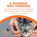 ARM & HAMMER Naturals Clumping Cat , Litter Odor Control, Multi Cat Litter, 18 lb. Bag - Image 6