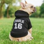 Personalized Name Dog Hoodie, Embroidered Puppy Sweater with Name/Text, Custom Pet Clothes Warm Winter Outfit for Dogs, Bright Puppy Sweatshirt, Pet Birthday Outfit, Gift for Dog Lovers - Image 4