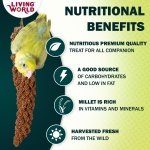 Living World - Millet Spray for Birds, 3.5 Oz – Premium Treat for Budgies, Canaries, Finches, Cockatiels and Other Pet Birds - Image 7