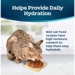 Blue Buffalo Tastefuls Natural Tender Morsels Wet Cat Food, Chicken Entrée 3-oz cans (Pack of 24) - Image 6