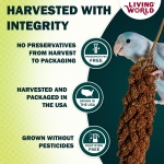 Living World - Millet Spray for Birds, 3.5 Oz – Premium Treat for Budgies, Canaries, Finches, Cockatiels and Other Pet Birds - Image 6