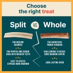 REXIPETS 100% Natural - Elk Antlers for Dogs - Naturally Shed in USA - Long Lasting Chews for Aggressive Chewers - Natural, Real Dog Antler Treats & Toys - Dog Chews - No Odor & No Mess - Large - Image 7