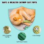 Pawsible Cat Toys for Indoor Cats, 100% Pure Organic Catnip-Filled Toys Without Cotton, Interactive Cactus Kitten Toy for Anxiety Relief, Soft Cute Teething &Chew Toys, 5 Pack - Image 5