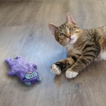 Catstages Purr Pillow Cat Toy – Plush Cat Toy with Touch-Activated Purr for Calming Cats & Kittens - Image 2