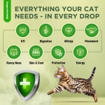 Cat Antibiotic for Infections, UTIs, Respiratory Moments, Cold, & Allergies | Antibiotics for Cats of All Ages & Breeds | Liquid Form | Natural Supplement with Chicken Flavor | 2 Oz - Image 8
